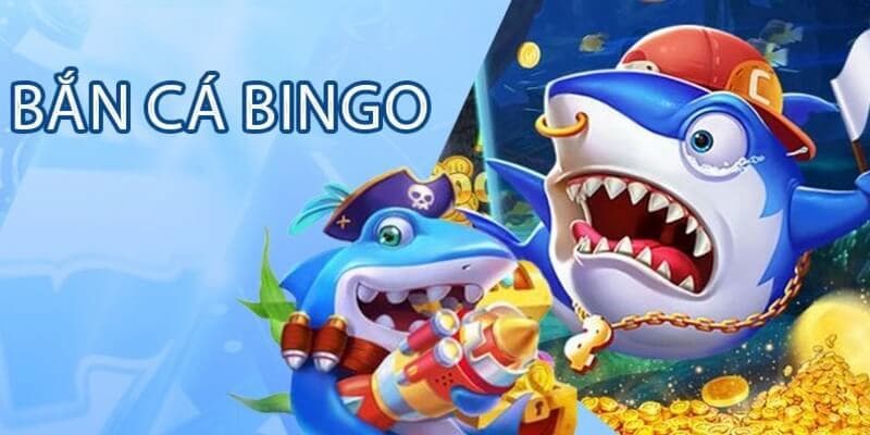 Bắn Cá Bingo lý do trở thành hiện tượng